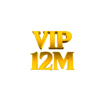 VIP Subscription (12 Months)