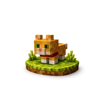 Kitty Pet